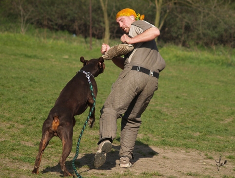 Training 4. 4. 2007